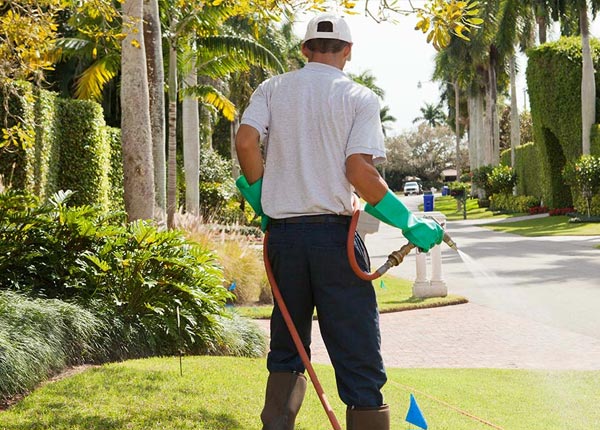 About Irwinton GA Pest Control Pros
